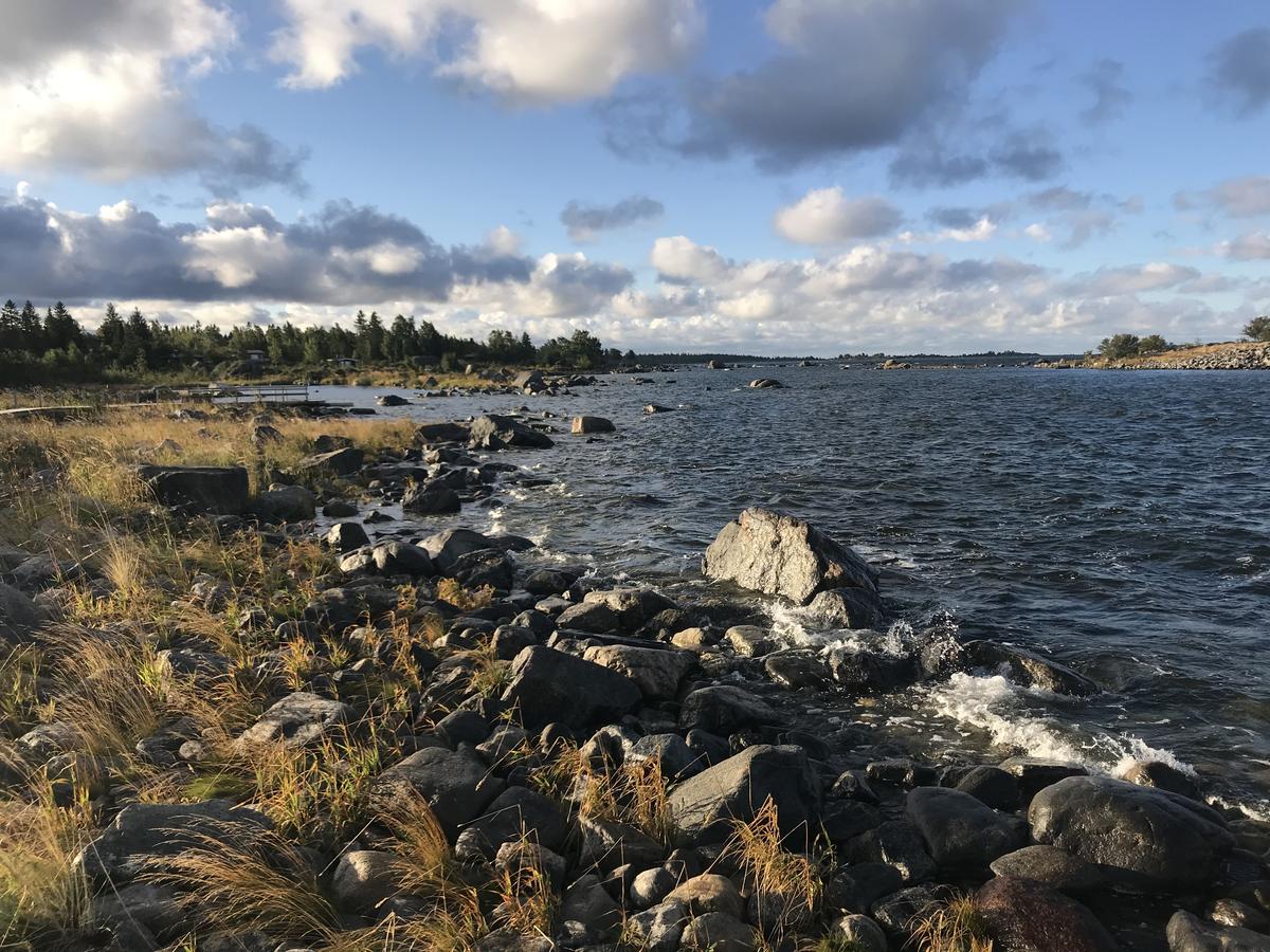 A view of a sea shore.